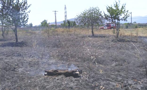 Un cuervo provoca un incendio en Ponferrada que afecta a 2.500 metros cuadrados de matorral