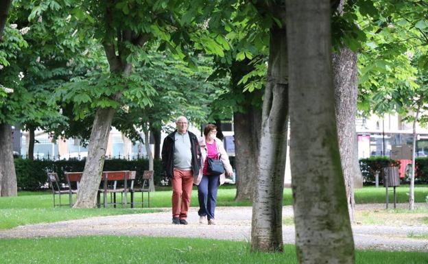 Cs exige frenar la adjudicación de Parques y Jardines por las «irregularidades» del proceso