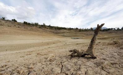 UPA tilda de «bufonada» que el secretario de Estado de Medio Ambiente culpe al regadío de la falta de agua en el país