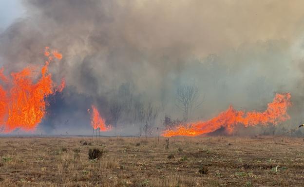 Tres incendios permanecen activos en las provincias de León, Salamanca y Zamora
