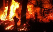 La Junta declara la alerta urgente por riesgo extremo de incendios a causa de la meteorología