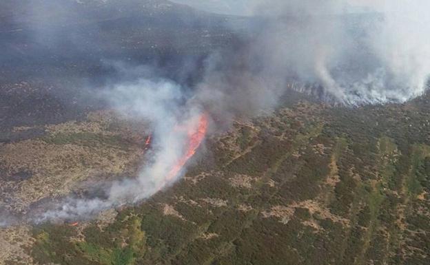 La Junta moviliza más de 30 millones en medidas de apoyo a las zonas afectadas por incendios forestales