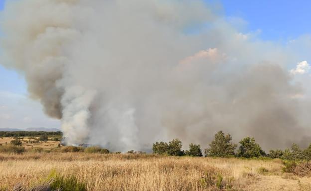 Controlado un incendio en Santa María de Ordás que ha calcinado más de seis hectáreas de roble