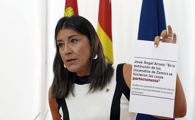 El PSOE solicita la comparecencia de Mañueco en las Cortes para dar explicaciones sobre los incendios