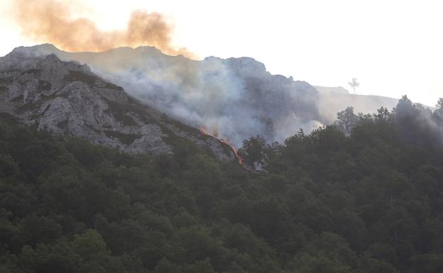 El noroeste peninsular concentra el 53,3% de las 230.000 hectáreas quemadas por incendios en lo que va de año