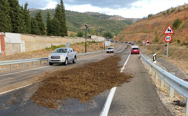 Un camión pierde su carga de estiércol en uno de los accesos a la localidad de Cistierna