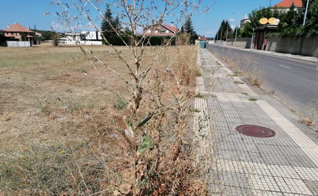 IU León critica el «abandono» del barrio de Eras y la zona del Olímpico
