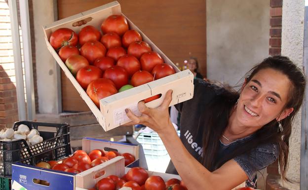 Mansilla vuelve a vivir con normalidad su Feria del Tomate, con 300 toneladas de producto