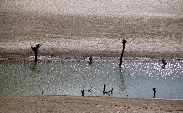 Convocado el grupo de trabajo de la mesa de la sequía para evaluar la situación del sector agrario