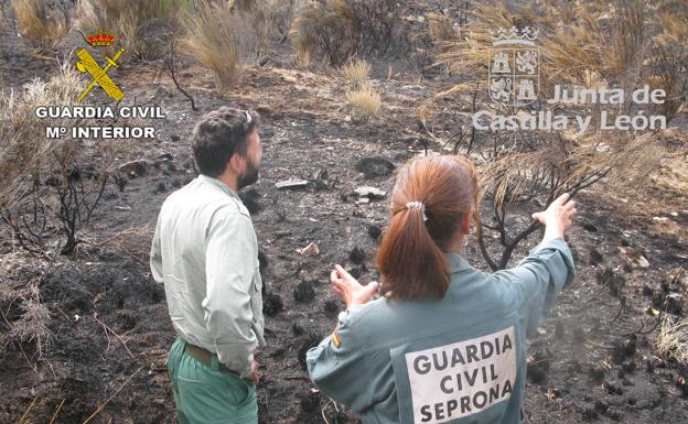 La Guardia Civil investiga a una persona como presunta autora de un incendio forestal en Villaquejida