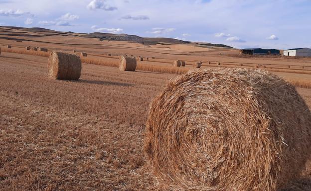 Agricultura inicia la consulta pública para aplicar las excepciones en la condicionalidad de la PAC