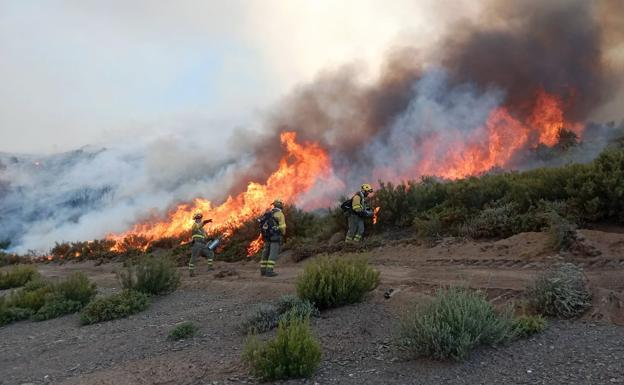 El 40% de la superficie arbolada incendiada en España se encuentra en León y Zamora