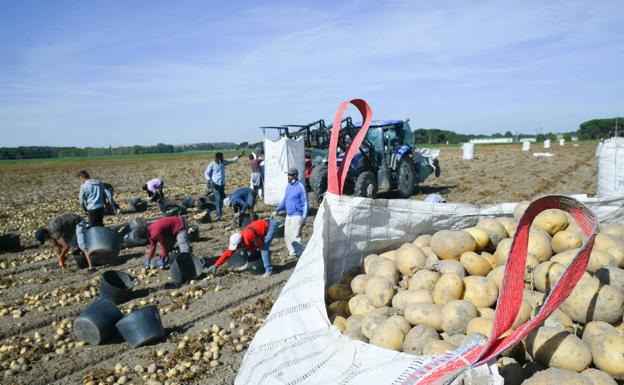 El paro agrario desciende en 57 personas en agosto