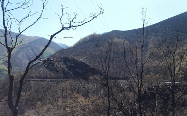 Bierzo Aire Limpio pide al Ayuntamiento de Ponferrada el «cumplimiento urgente» de la Ley sobre incendios forestales
