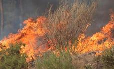 Una cosechadora provoca un incendio en Villaquilambre detrás de la antigua tejera