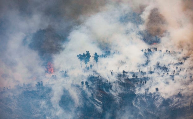 Los incendios de este verano en Europa agigantan la huella de carbono