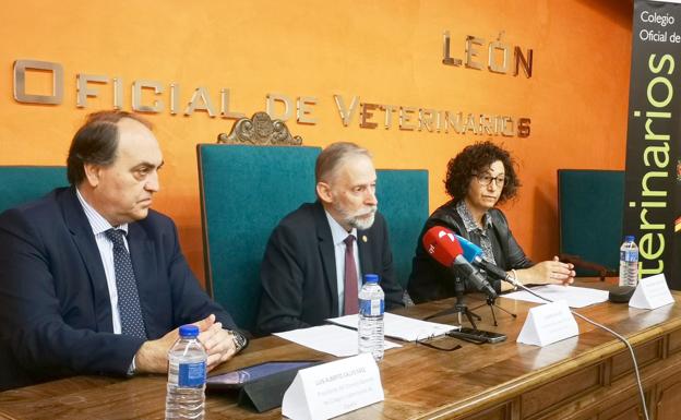 León cita a los máximos expertos mundiales en sanidad y bienestar animal en el I Congreso Internacional del sector