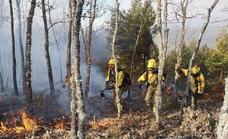Extinguido un incendio forestal en la localidad de Abelgas de Luna