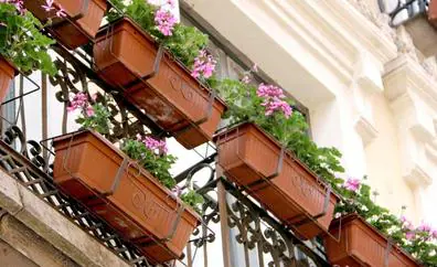 Ciudadanos denuncia «la mala imagen» que dan los geranios secos en los balcones de la calle Ancha