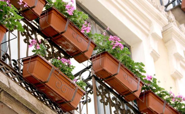 Ciudadanos denuncia «la mala imagen» que dan los geranios secos en los balcones de la calle Ancha