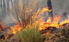 Un fuego en Valdevimbre moviliza al dispositivo de incendios en León