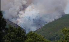 Medio Ambiente declara la alerta mañana por el riesgo de incendios en Castilla y León