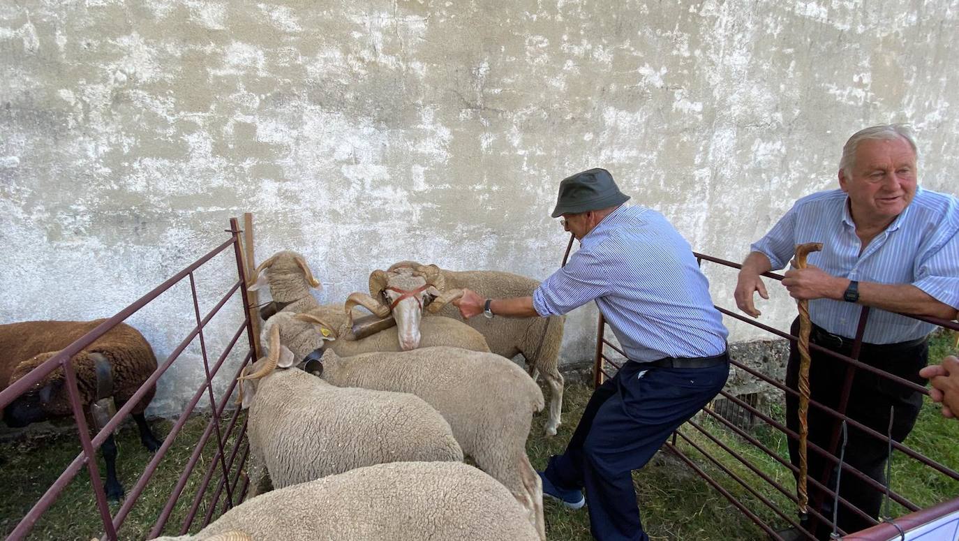 Valdelugueros se cita con la tradición