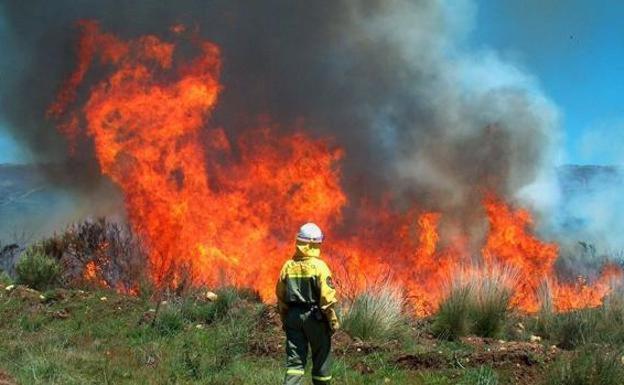 Un fuego se mantiene activo en León en un domingo con repunte de incendios