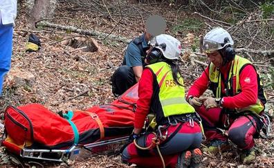 Rescatan a un hombre de 62 años herido al caerle un tronco mientras cortaba leña en Corullón