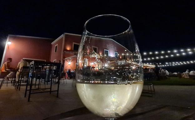 Bodegas Vitalis, un paseo bajo la luna