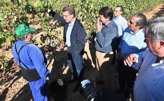 Mañueco expresa el compromiso con el sector vitivinícola y pide reprogramar el Perte Agroalimentario