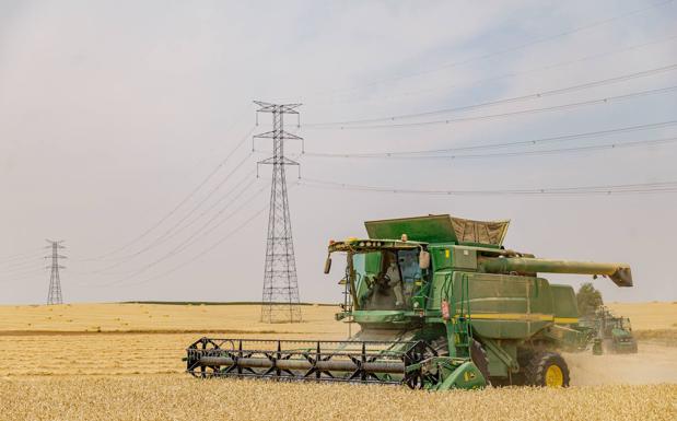 La invasión rusa devuelve la tensión al mercado del cereal