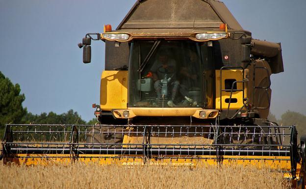 La Junta destina 200.000 euros para subvencionar iniciativas de comercialización en el medio rural