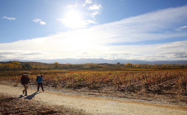 Día soleado y máximas de 27 grados para celebrar San Froilán