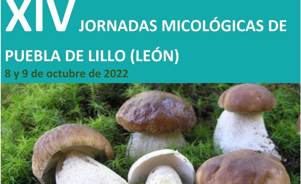 Puebla de Lillo apuesta una vez más por la micología en sus XIV Jornadas Micológicas