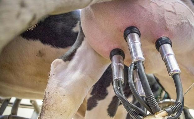 La Junta reforma el decreto de cooperativas para impulsar su dimensionamiento y profesionalización