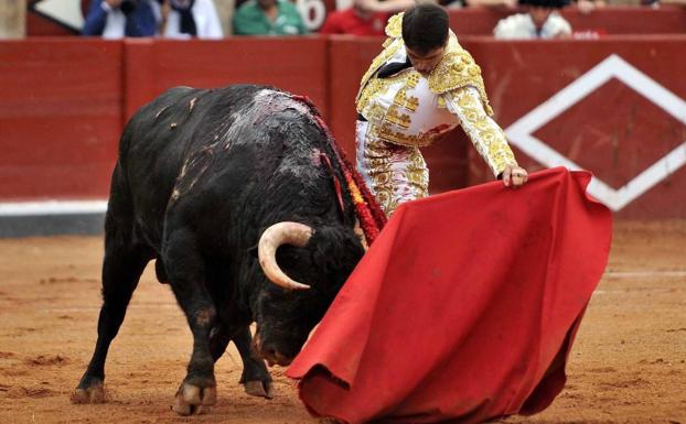 La Junta propone ampliar los Premios Castilla y León con una categoría específica dedicada a la tauromaquia