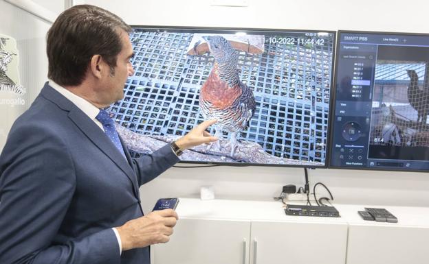 La Junta invertirá 5,1 millones hasta 2026 en el Centro de Cría del Urogallo de Valsemana para revertir la extinción de la especie