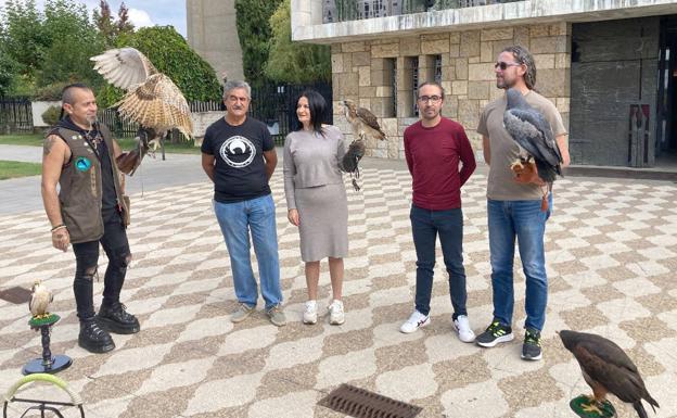 La Virgen del Camino espera 10.000 visitas este fin de semana a las XXVII Jornadas Internacionales de Cetrería del Norte de España