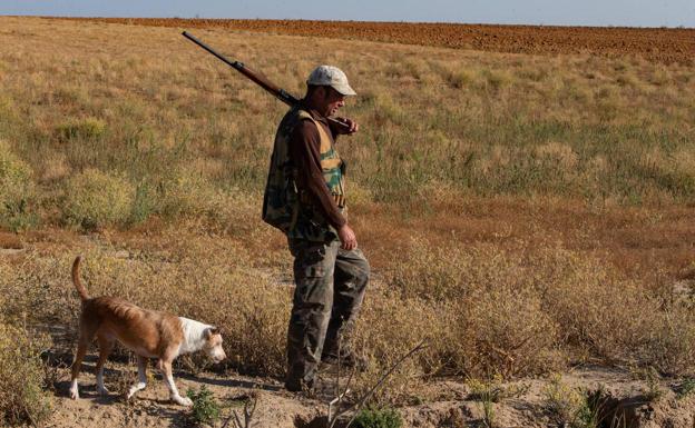 Los animalistas se concentrarán en León y Ponferrada para exigir protección para los perros de caza