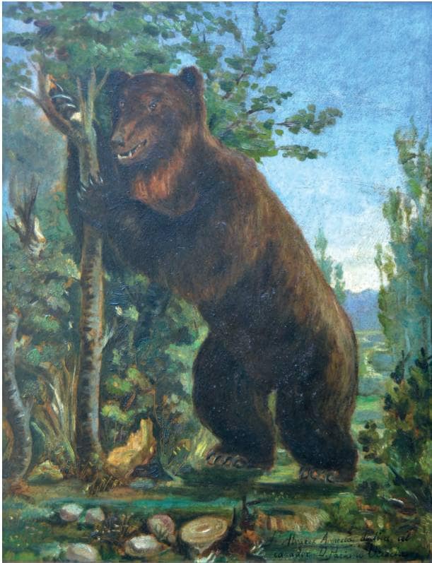 Los osos ya se dejaron ver en Ponferrada.... en 1876