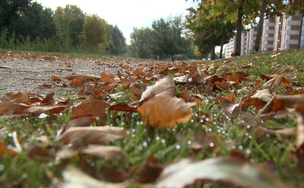 León se viste de otoño