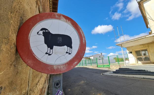 'Prohibida la circulación de ovejas', la singular señal de Carrión de los Condes