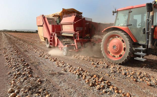 UPA-COAG pide a la Junta una reducción de impuestos a los profesionales agrarios
