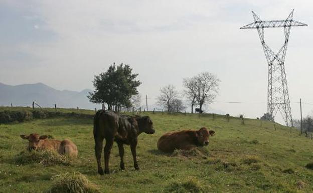 Comienza la 'cuenta atrás' para el desmantelamiento de las torretas de la línea Sama-Velilla proyectada en León y Asturias