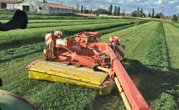 Solo paja, alfalfa y vacuno de carne cotizan al alza en la lonja de León