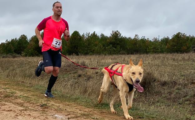 El mushing 'preside' Valdefresno con más de 150 participantes