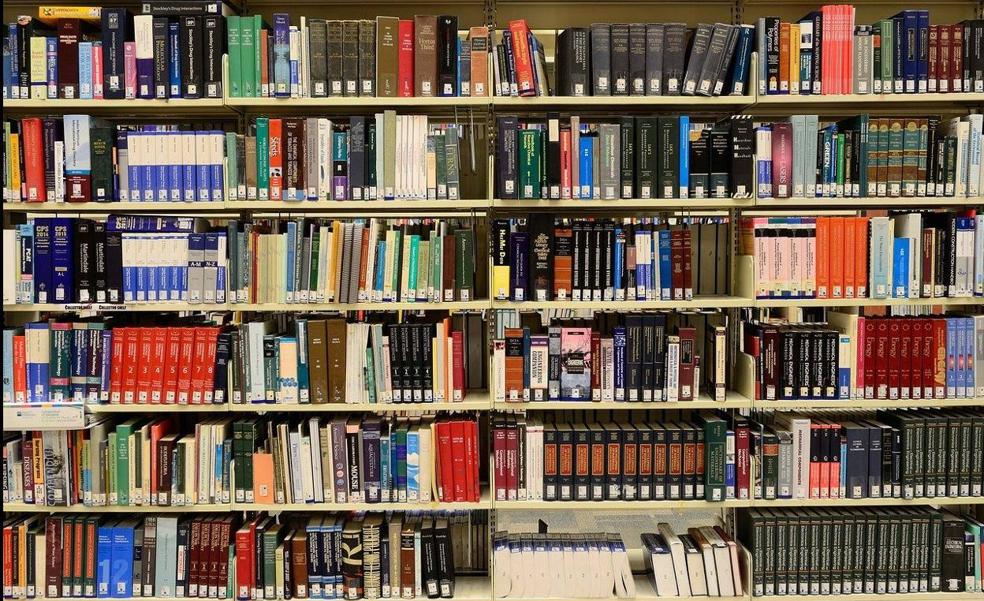 Las Bibliotecas Municipales de León prestan más de 9.800 libros en lo que va de año