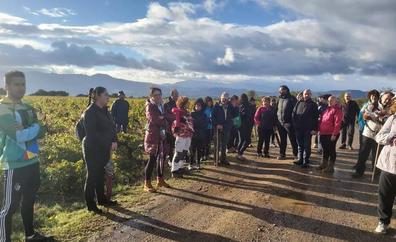 El Consejo Comarcal cierra sus Rutas por la Calidad con un recorrido dedicado al viñedo de la DO Bierzo