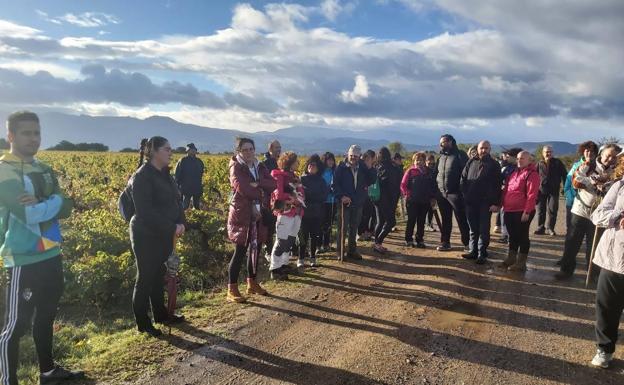 El Consejo Comarcal cierra sus Rutas por la Calidad con un recorrido dedicado al viñedo de la DO Bierzo